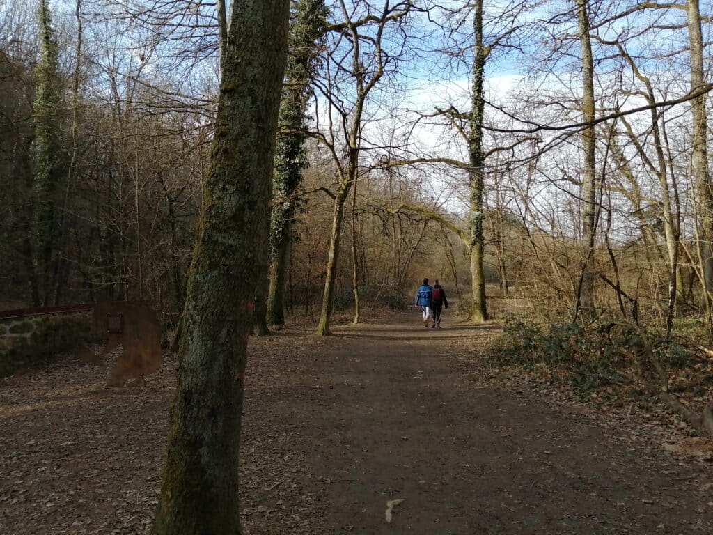 balade en forêt