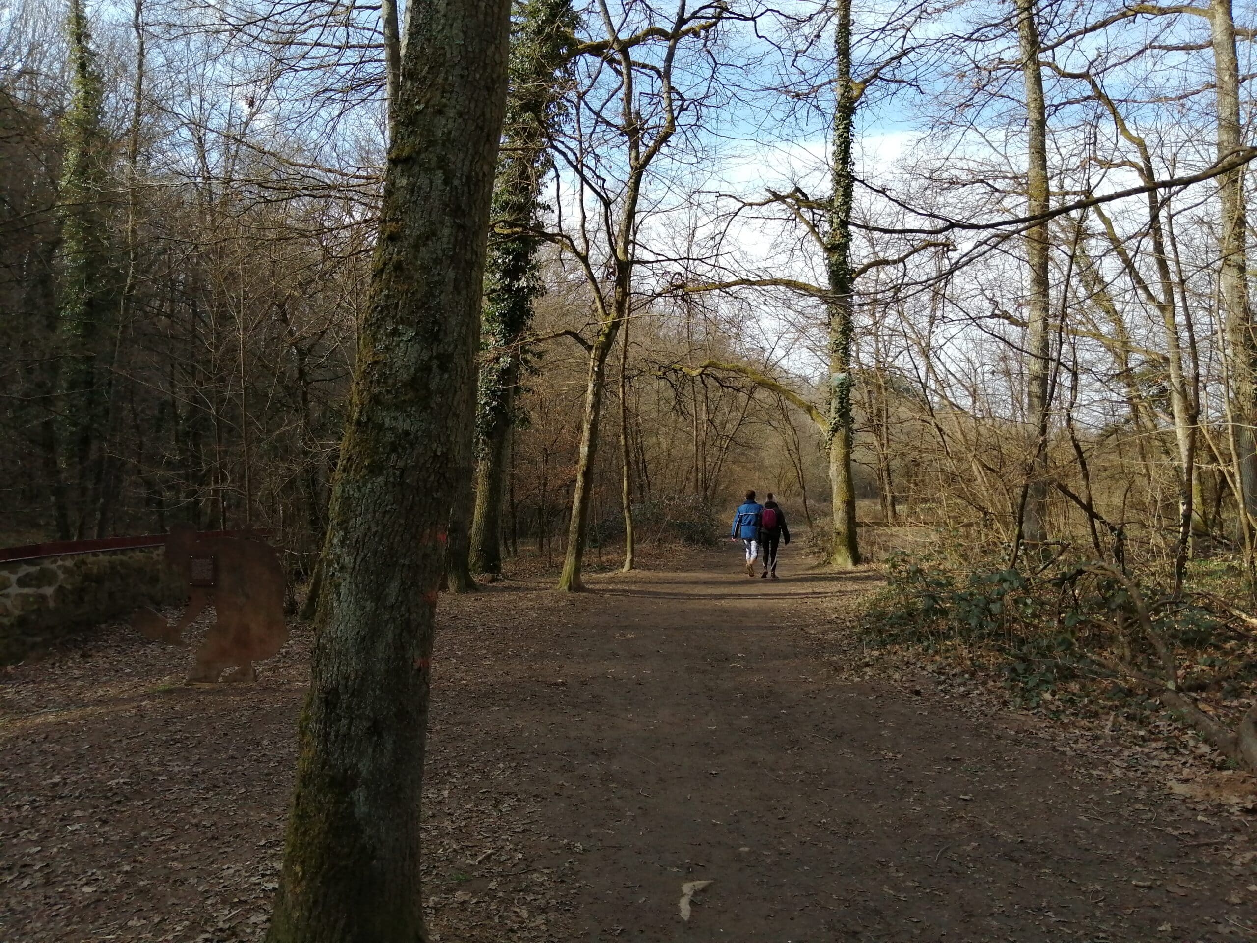 balade en forêt
